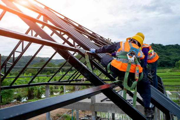 Best Roof Gutter Cleaning  in Groves, TX